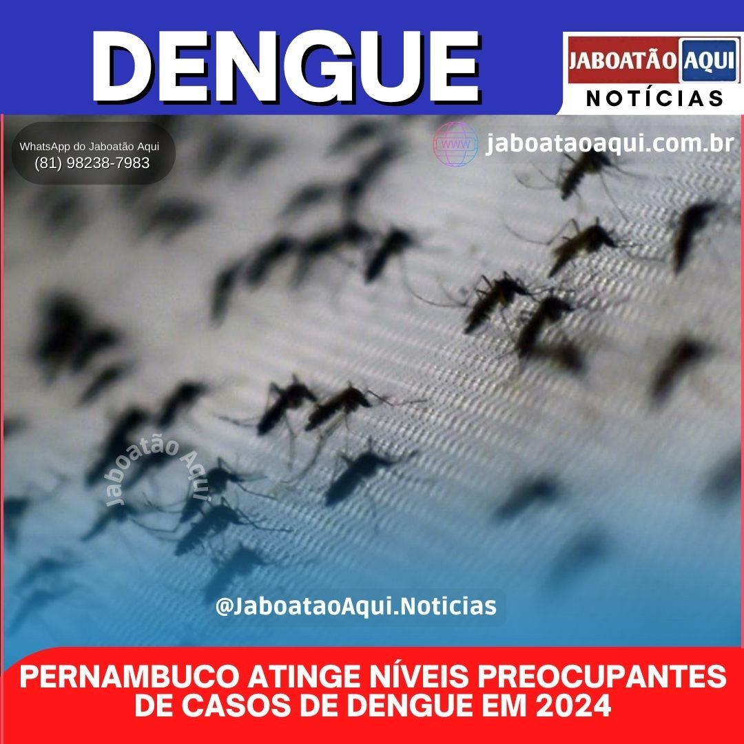 PERNAMBUCO ATINGE NÍVEIS PREOCUPANTES DE CASOS DE DENGUE EM 2024